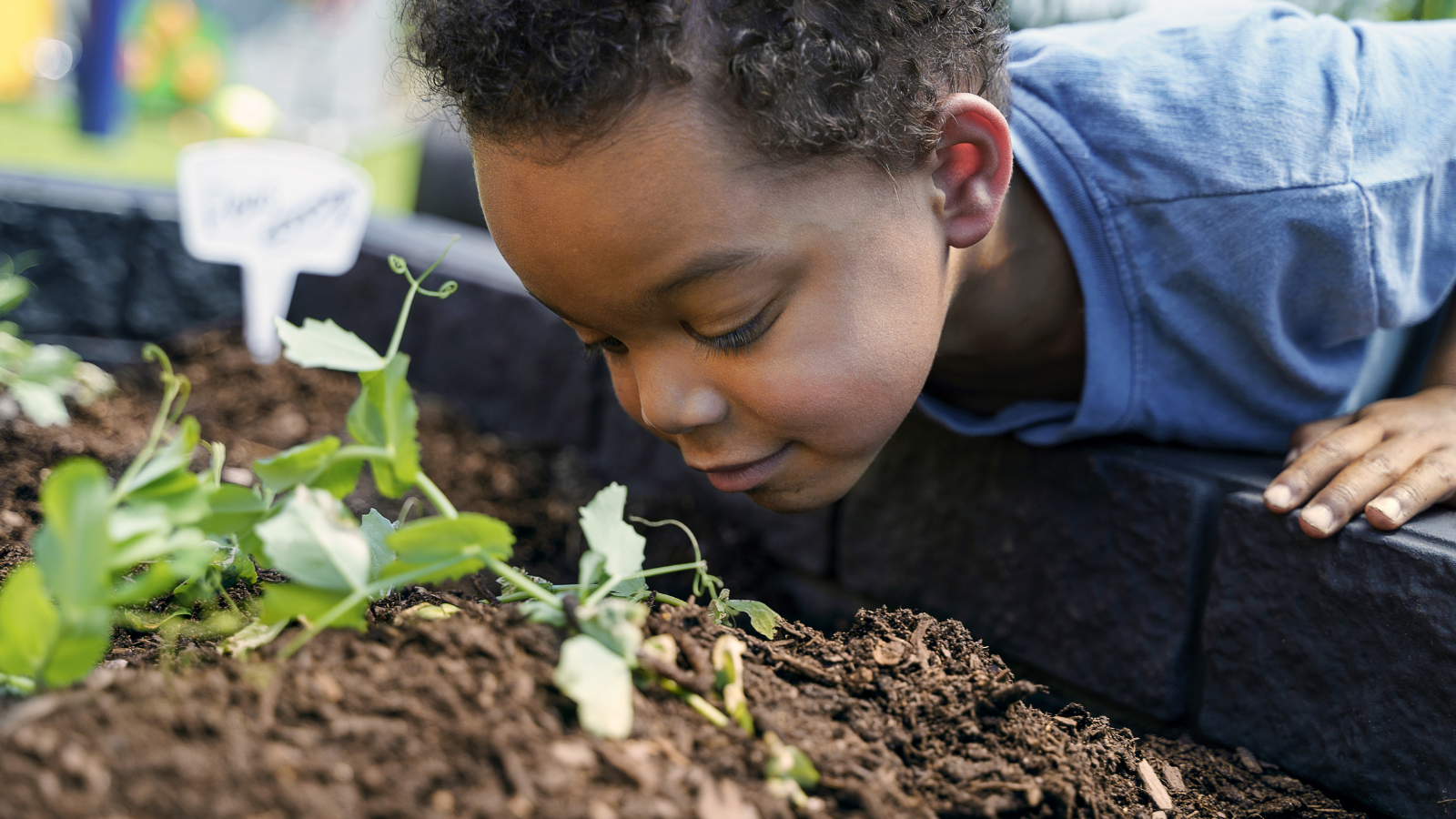 10 Prime Cities to Open a Childcare Franchise