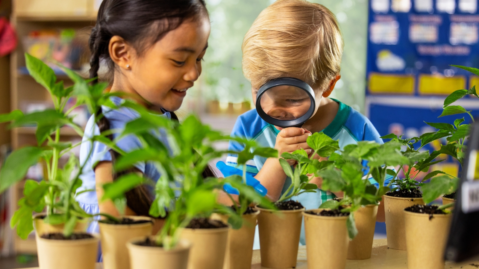 How Much Does a Goddard School Franchise Cost?